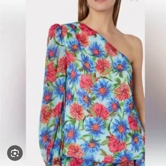 Milly Tops - Milly Revolve NWT Emilia Painted Dahlia Print Top Size 0-2